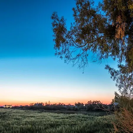 Ktima Bianco Апарт-отель Naxos City