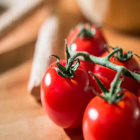 Апарт-отель Ktima Bianco