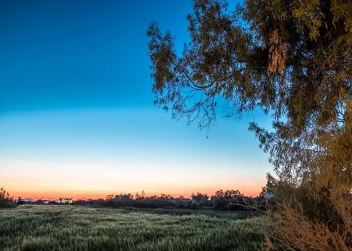 Ktima Bianco מלון דירות Naxos City