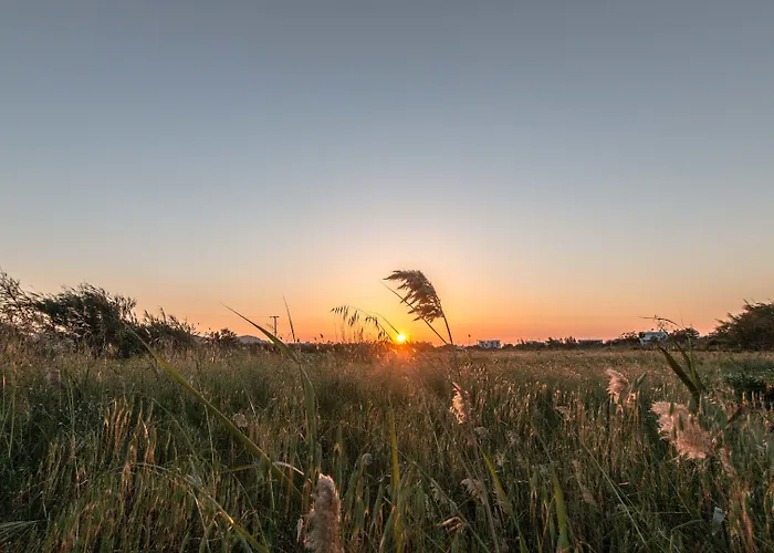 מלון דירות Ktima Bianco Naxos City