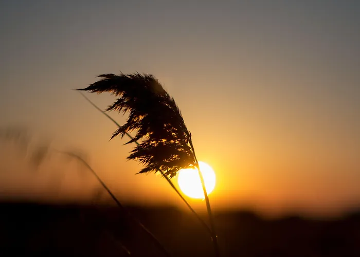 Ktima Bianco מלון דירות Naxos City