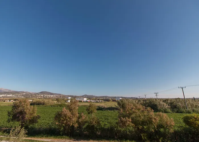 Ktima Bianco מלון דירות Naxos City