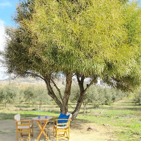 Ktima Bianco